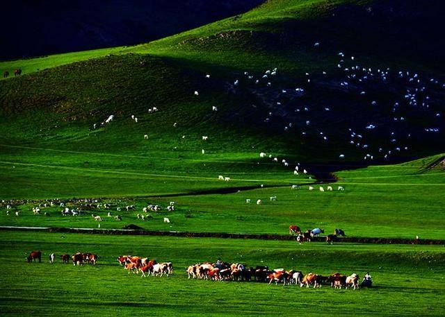 伊犁州一年的gdp_伊犁州地图(3)