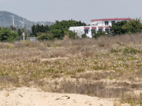 潮阳各镇经济总量_潮阳站