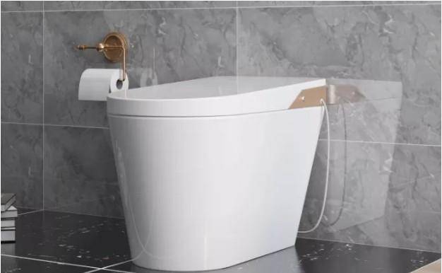 马桶坐便器美观大方 37b37e58058447a0a6373a12135ec077.jpeg