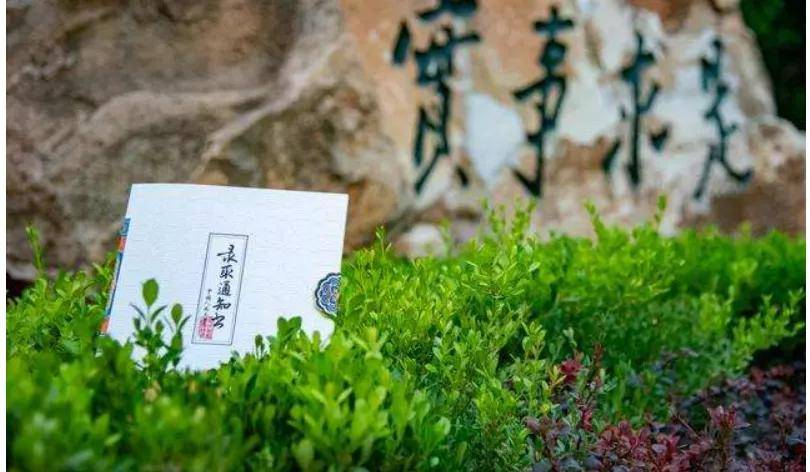 大本|中国人民大学数学学院2020概率论与数理统计424高分经验分享