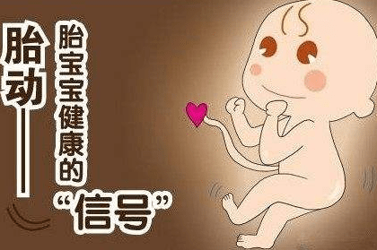 讀懂胎兒的七個胎動：五個是報平安，兩個是求救。《網路文章》