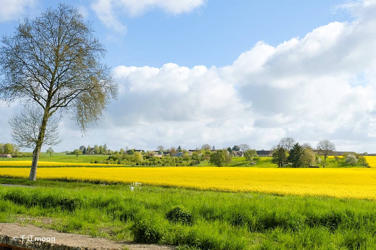 32张照片告诉你法国乡下的春天有多美！_千江moon_新浪博客