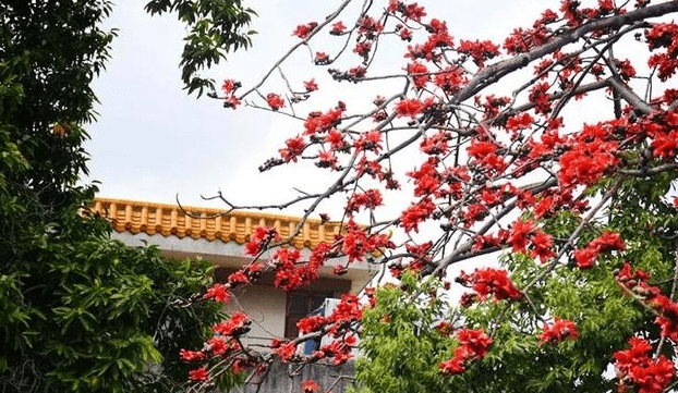 了解中山GDP_中山大学