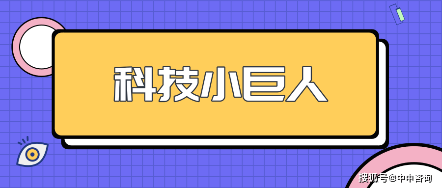 关于发布上海市2020年度科技小巨人工程项目申报指南的通知