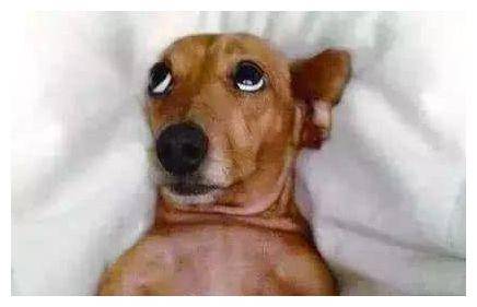 什么叫做堂哥 5c4819da83224818b4405028508bac8a.jpeg