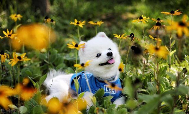 a2386e9ce2d64e24ad8c53204c02354a.jpeg