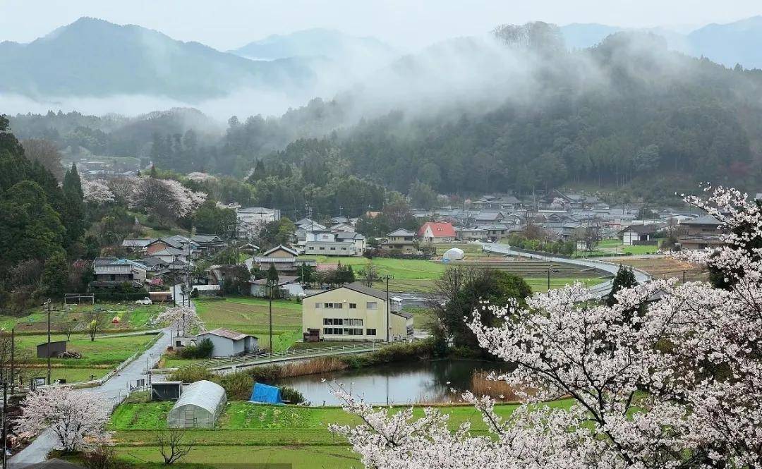 Kaiyun 开云体育日本休闲农业好在哪？对我国有何借鉴意义？(图17)