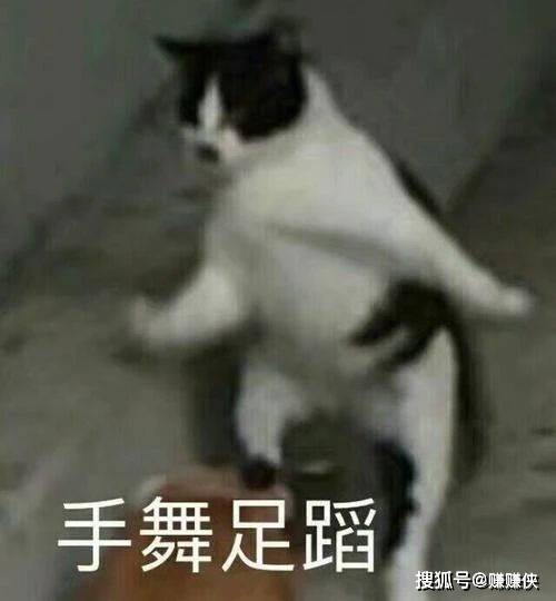 沙雕表情包图片:那你告诉我怎么才能不沙雕