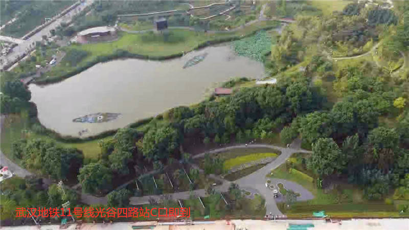 航拍武汉光谷西苑公园