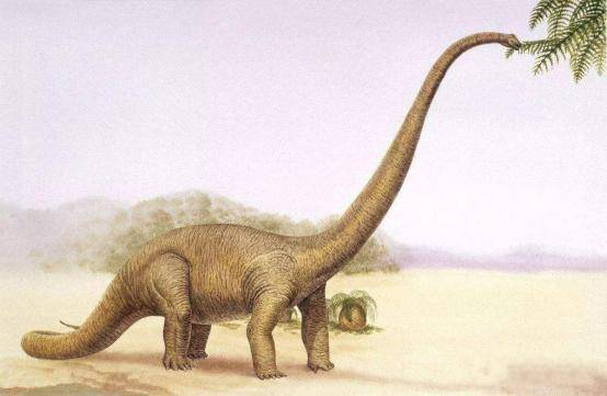它是脖子最长的恐龙,在中国发现,名字还给叫错了