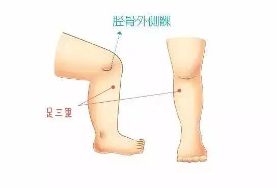 部位|宝妈要经常按摩宝宝身上4个部位