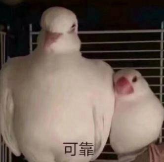 宝宝|宝宝的补铁剂怎么选？看这里！