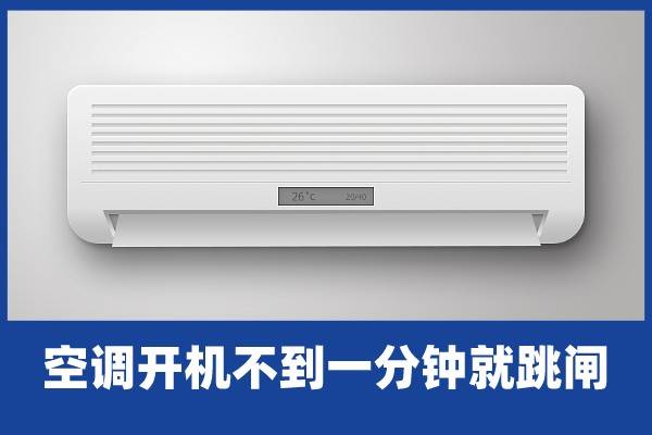 cd41391cdd354e5cad97190b9acde95c.jpeg