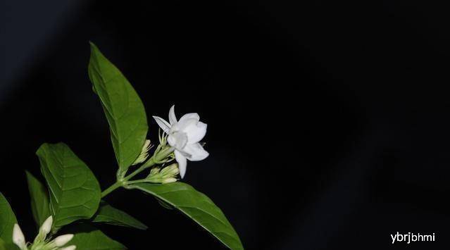 7eecb1837b16430190ab2d7ee35587a3.jpeg