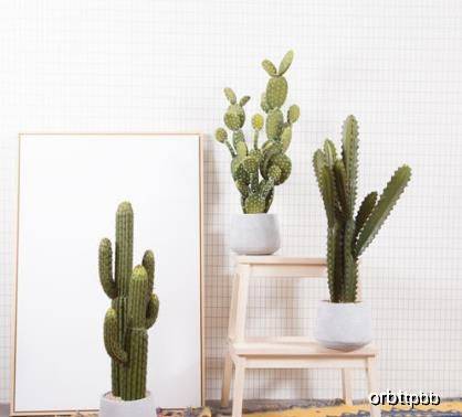 业主|家中也不宜摆放这些植物，暗喻越住越穷，有钱人一看就懂再有钱