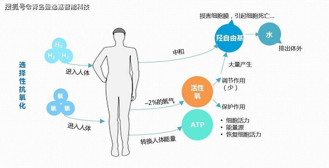怎么样自己检测尿酸 09c358dec6d8446fa1d9f96264ab336e.jpeg