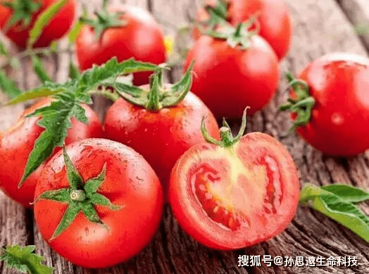 西红柿可以降尿酸吗