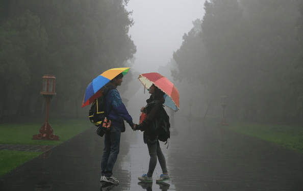 如果可以被保护,谁愿意在风雨中流浪