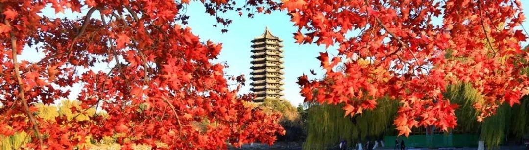 视频|北京大学2020年微软电子信息专业考研经验分享