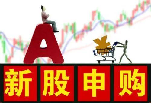 申购前的20个交易日,账户内持有的股票市值超过1万元,不满足最低条件