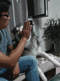 精选内涵段子 1.我问酒店服务员:你们的房间隔音怎样?