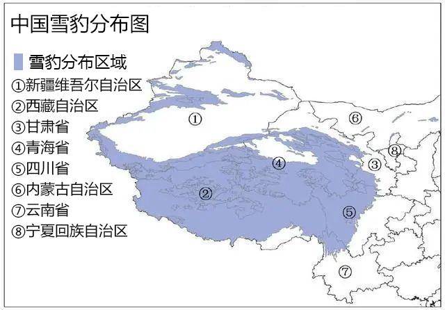 这些"大猫"们受各种因素影响下数量已经大不如前,成了濒危的珍稀动物