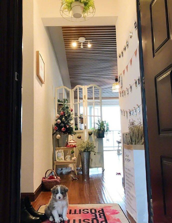 神器|拿出这个神器,立马变脸金毛不开心的时候