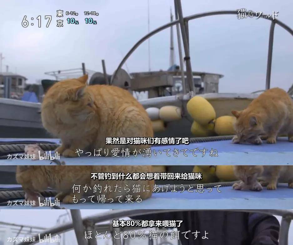 生活|吸了200只猫!”“我在一座与世隔绝的岛上
