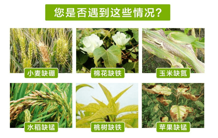 肥料排名_肥料卡通图片(3)