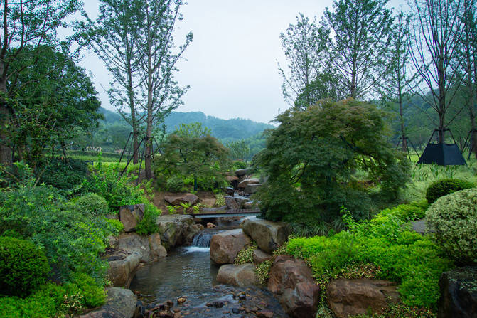 雨过天晴,田博园上渚山奇幻谷别有一番天地_手机搜狐网