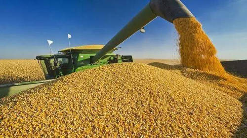 国家|为何粮价40年只涨5倍,工资却涨了100倍?