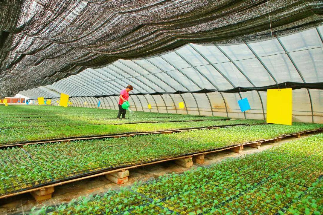 美图|“中航盈富杯”中国证券界精准扶贫摄影大展作品欣赏（二）