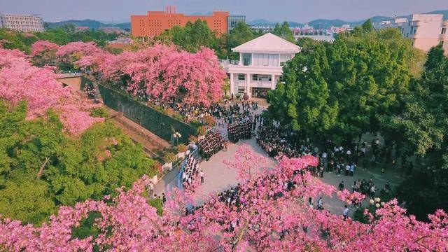 贵贵|疑问！你会读民办本科么？学费贵贵贵贵贵贵！