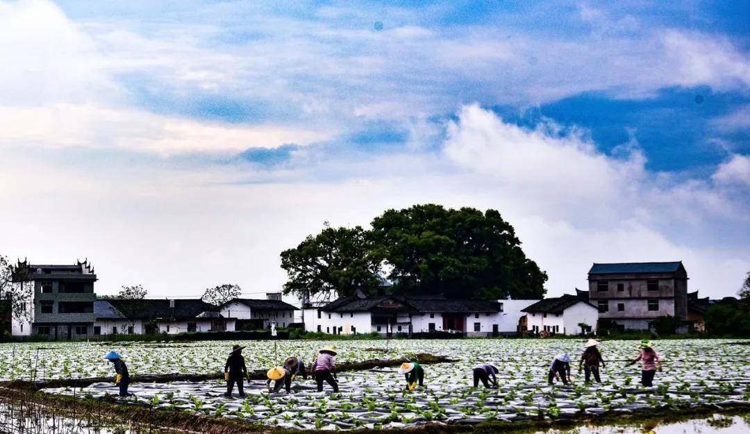 美图|“中航盈富杯”中国证券界精准扶贫摄影大展作品欣赏（二）