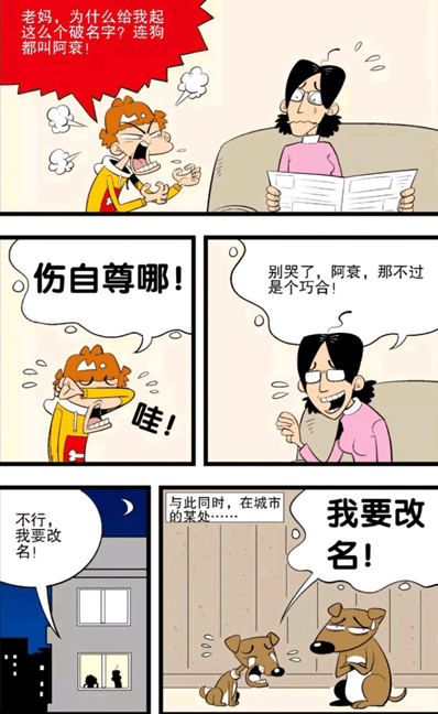 阿衰:与狗狗同名的阿衰喜得桃花运?伤自尊的他决心改名阿富汗?