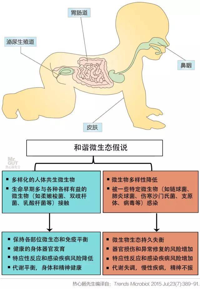 孩子|79个写给孩子们的卫生保健知识
