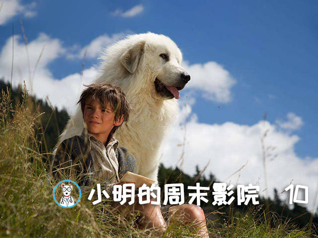 小明的周末影院 灵犬雪莉 冒险再出发 塞巴斯蒂安