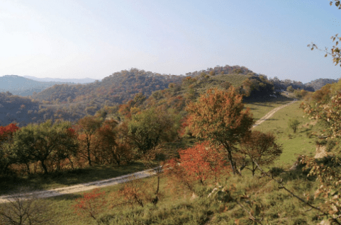 蔡文姬|秦始皇为什么要修建“秦直道”