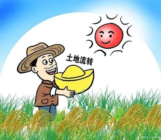 农业实行土地流转失去土地后的农民将来该何去何从