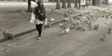 搞笑gif:这车真是浪费了,大材小用