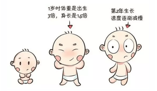体重|怎样的宝宝才算是“白白胖胖”的宝宝呢?