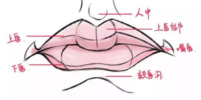 绘画口结构怎么画人物的嘴?漫画角色的嘴里有什么技巧?