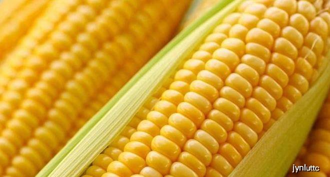 肠胃|两者结合是“天然痔疮栓”，常吃排毒通便此物和玉米相生相辅