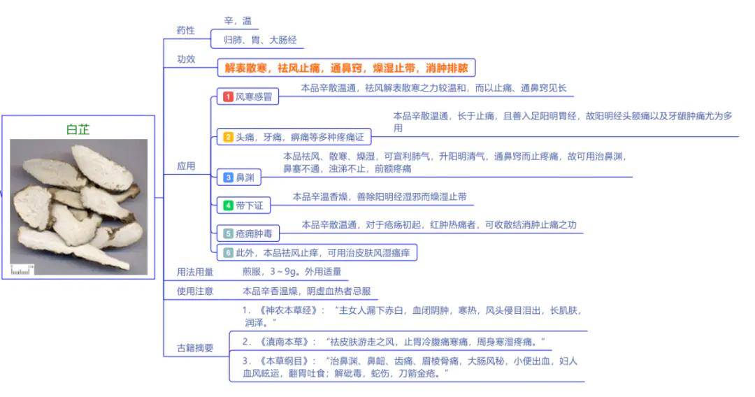 今天,我们将余下的7种发散风寒药继续以思维导图的方式呈现,送给大家