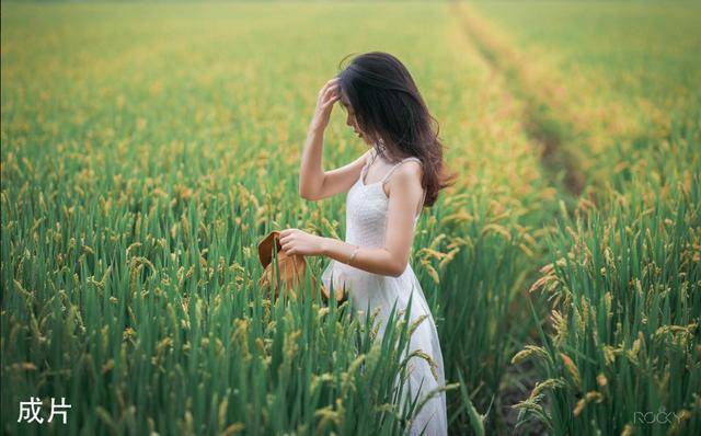 色调|探图摄影师专栏｜如何调整出一张“色调较强的低饱和”照片