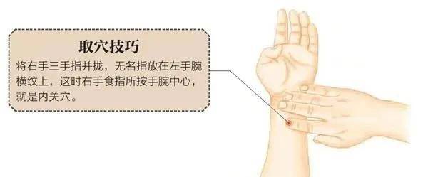 方法: 内关穴位于前臂正中,腕横纹上2寸(中指的第二指节为1寸).