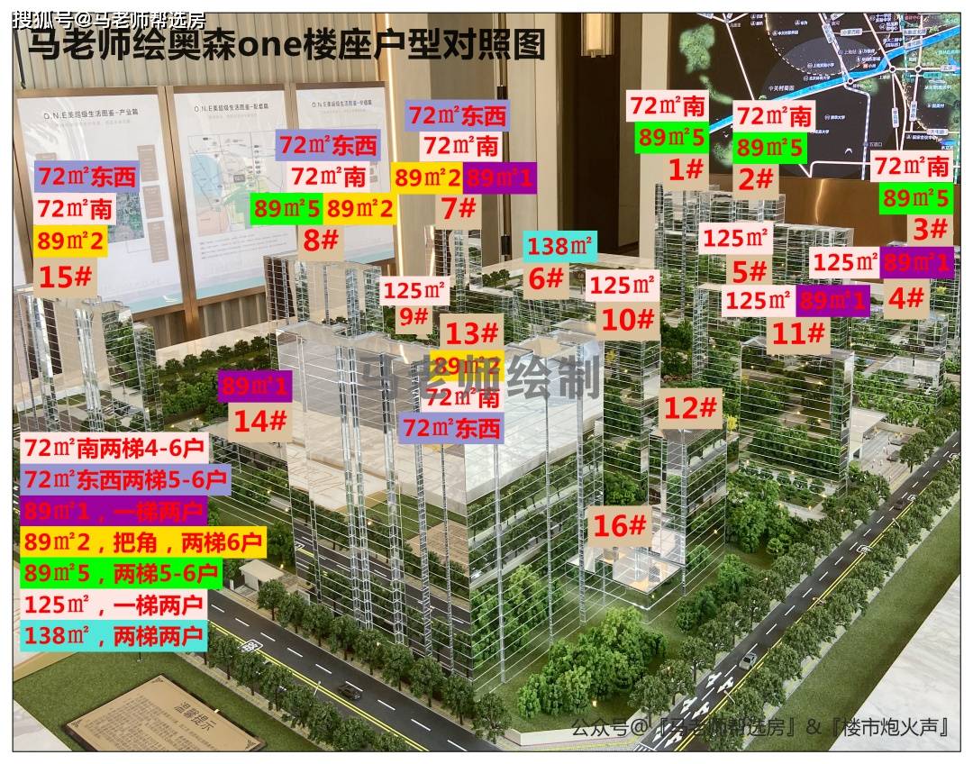 马老师奥森one楼栋户型分布图