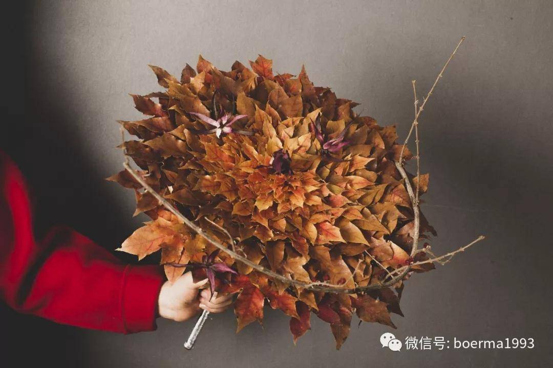 基础花艺知识：花艺分类详解(图10)