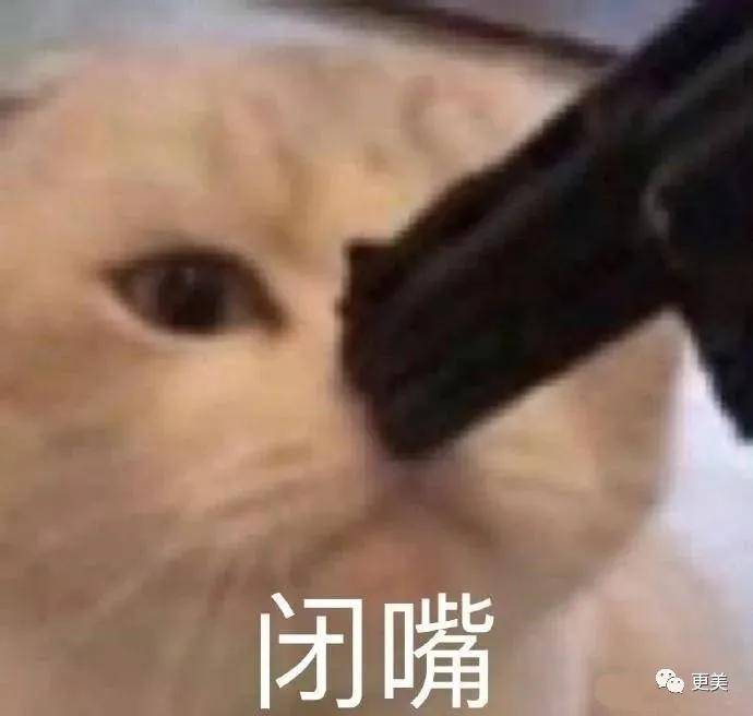 在线|发量王者鞠婧祎在线教你换头！2.5亿脱发少女有救了！