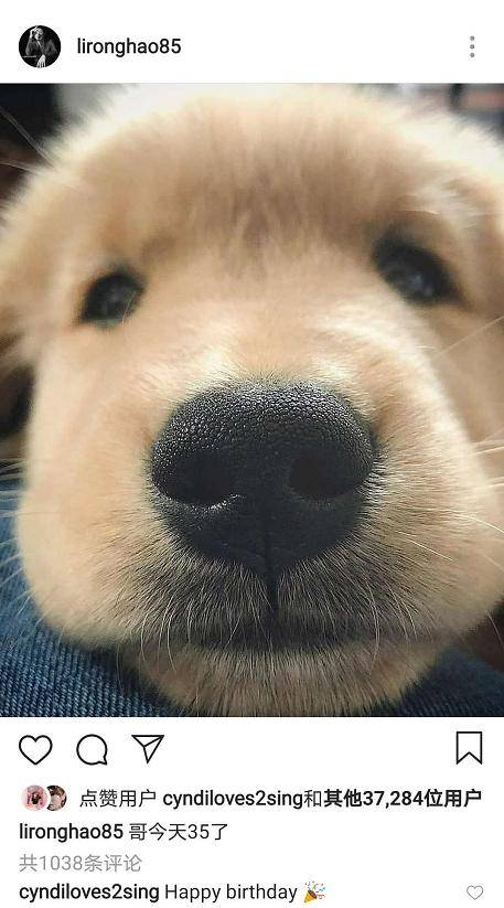 衷肠|原创李荣浩35岁生日小情侣互诉衷肠，杨丞琳首晒求婚视频甜蜜满满